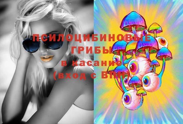 мдпв Слюдянка