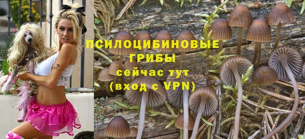 мдпв Слюдянка