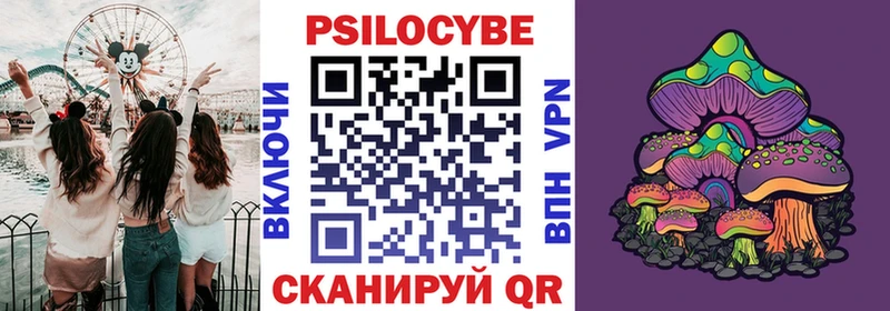 Купить где  Пионерский  Галлюциногенные грибы ЛСД 